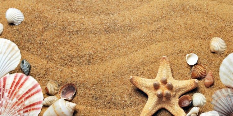 A Hail Mary in the works for SAND? Here’s what you should know