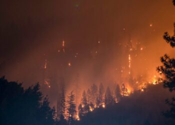 SHIB burn rate spikes ~3000%, but is there room for any further growth in price