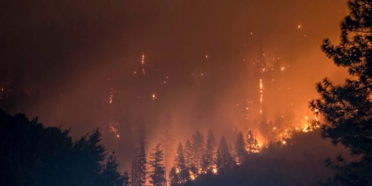 SHIB burn rate spikes ~3000%, but is there room for any further growth in price