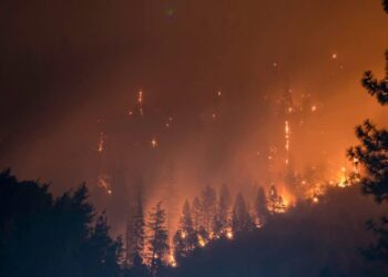 ‘In-loss’ Shiba Inu holders should look forward to September because…