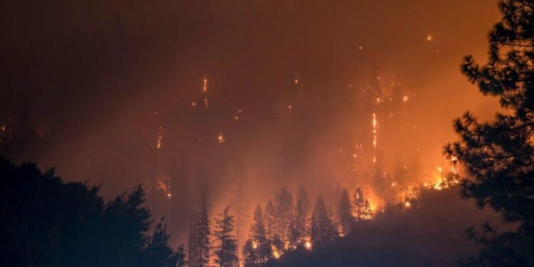 ‘In-loss’ Shiba Inu holders should look forward to September because…