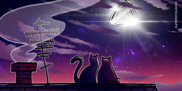 Top 10 CryptoPunks wallet lays dormant, house sells on OpenSea, and more