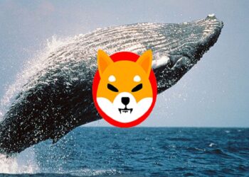 Whales Move 3.3 Trillion Shiba Inu