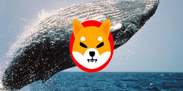 Whales Move 3.3 Trillion Shiba Inu