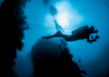 Are Layer 3’s The Future Of Crypto Tech? A Deep Dive Into The Matter