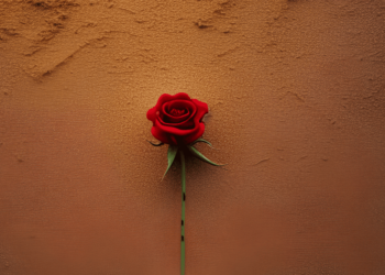 Can SAND’s performance of 2022 offer some forward-looking insights