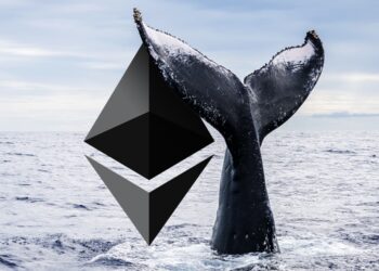 Top Crypto Token Records Trillions In Whale Accumulation