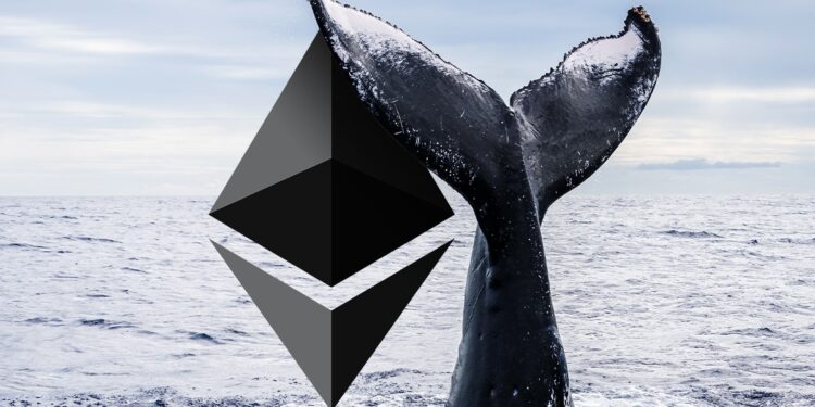 Top Crypto Token Records Trillions In Whale Accumulation