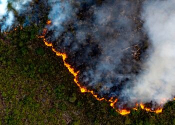 Google Expands Flood and Wildfire Tracking to More Countries
