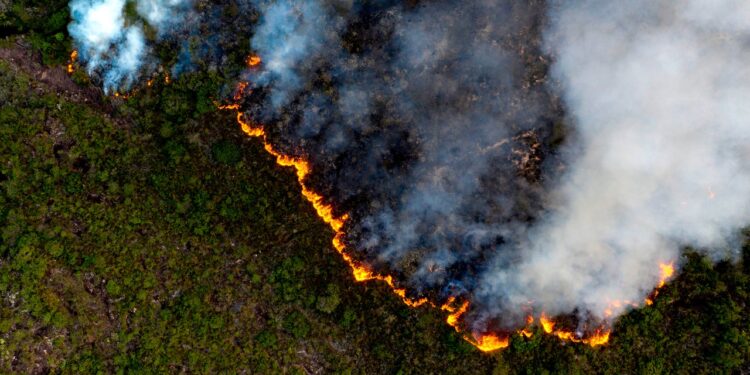 Google Expands Flood and Wildfire Tracking to More Countries