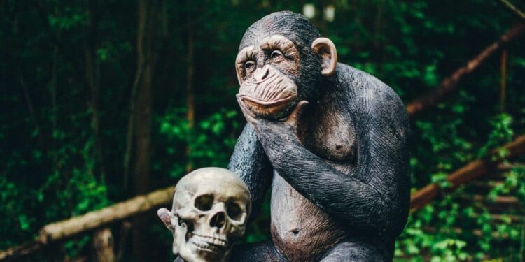 What’s in store for APE with Yuga Labs and its latest NFT acquisition