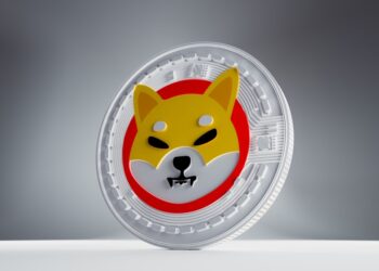 Is Shiba Inu Coin (SHIB) Finally Ready For The Big 2023 Rally?