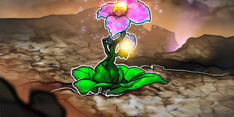 Crypto hotspots continue to thrive despite FTX collapse