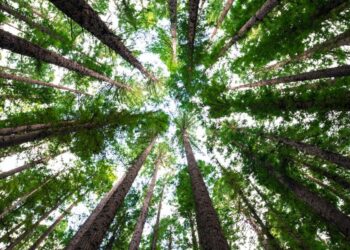 Polygon (MATIC) Price Prediction 2025-2030: Should you go long on MATIC in 2023?