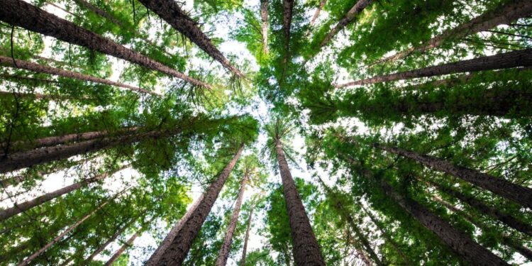 Polygon (MATIC) Price Prediction 2025-2030: Should you go long on MATIC in 2023?