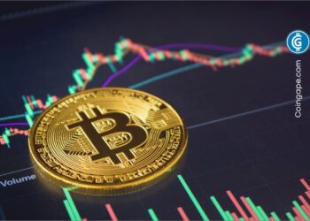 BTC Enters Pre-Halving Accumulation Phase, Time To Buy?