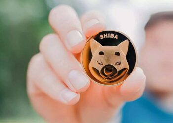 Will Price of Shiba Inu Coin (SHIB) Hit An All Time Low In 2023?