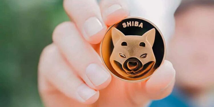 Will Price of Shiba Inu Coin (SHIB) Hit An All Time Low In 2023?