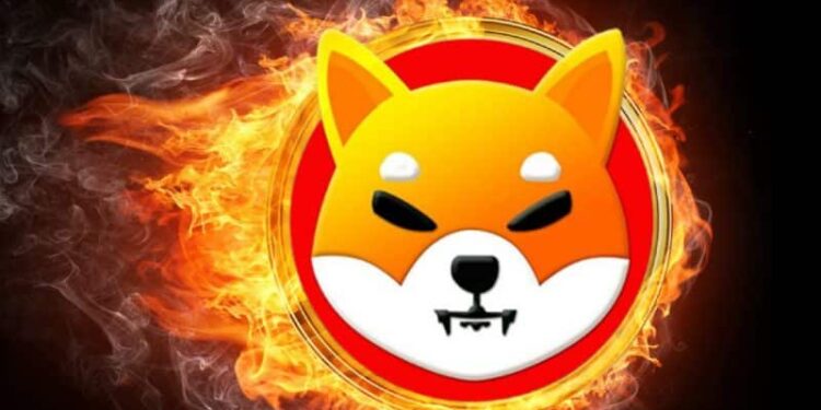 Shiba Racing NFT Launch; All About SHIB Metaverse P2E Game