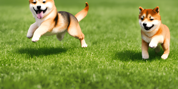 Analyzing Shiba Inu’s legitimacy after the launch of Layer 2 solution