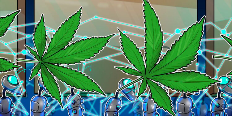 California cannabis producer adopts blockchain to track its weed