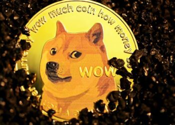 Shiba Inu Coin (SHIB) Price Prediction 2025-2030: What SHIB holders should expect?