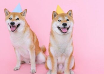 Shiba Inu Coin (SHIB) Price Prediction 2025-2030: SHIB continues to impress, with…
