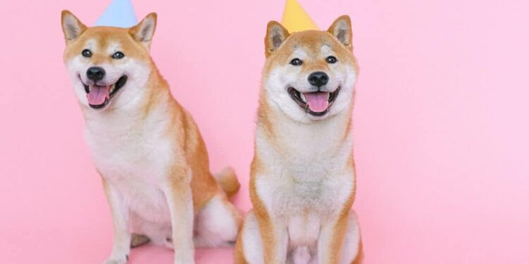 Shiba Inu Coin (SHIB) Price Prediction 2025-2030: SHIB continues to impress, with…
