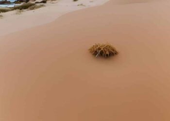 How SAND has fared since the commencement of its token unlock