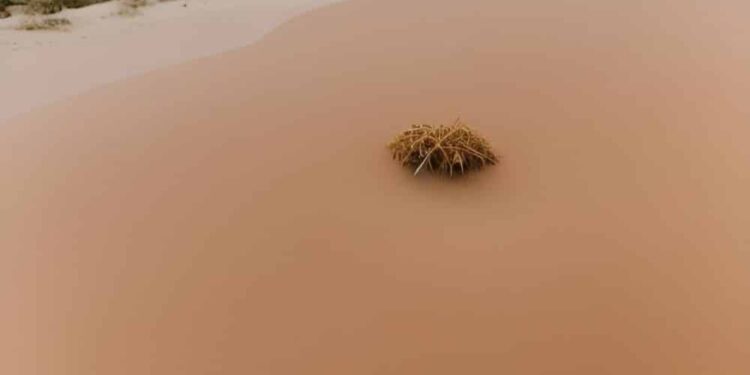 How SAND has fared since the commencement of its token unlock