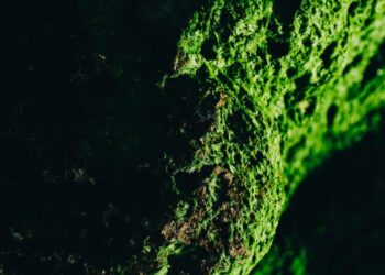 Polygon (MATIC) Price Prediction 2025-2030: Can MATIC rally in the long haul