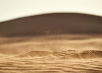 The Sandbox [SAND] sees large inflows into exchanges: Good news for investors?