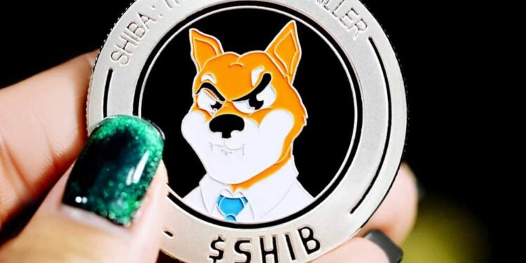 Shiba Inu Coin (SHIB) Price Prediction 2025-2030: How long will SHIB army wait for support?