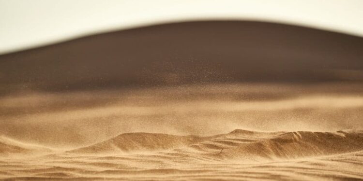 SAND whales get beached by a wave of sell pressure, but here’s something new