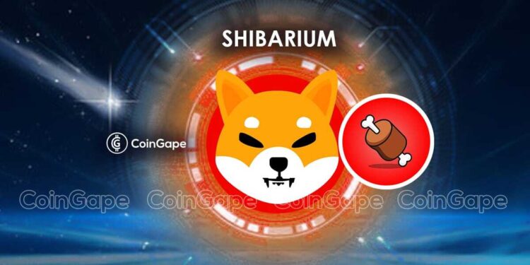 Shiba Inu Releases Key Warning Ahead Of Shibarium Launch Date