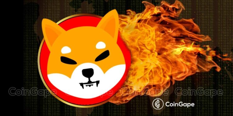 Shiba Inu Coin Burn Rate Plummets; Is SHIB Allure Fading Away?
