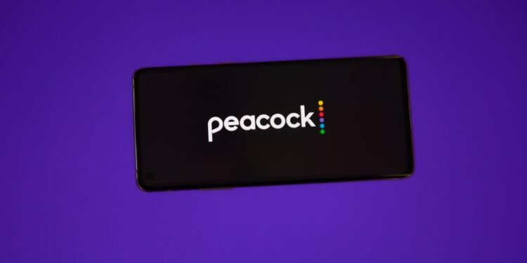 You Can Now Stream Peacock on a Meta VR Headset