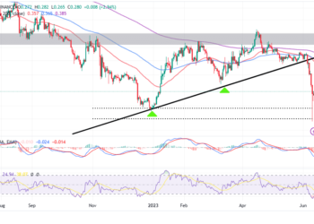 Bullish Comeback Resuscitates ADA Recovery As IOG Fires Back at the SEC