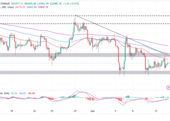 Bitcoin Price Embarks On Its Ascent to $30,000 As Annual US Inflation Softens to 4.9%