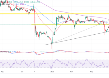 Solana Price Pumps 18% To $20 As Crypto Traders Tap Liquid Staking Frenzy With mSOL Token
