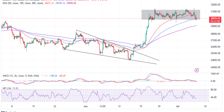 Bitcoin Price Is Falling While Whales Grow – What Does It Mean for BTC at $30k?