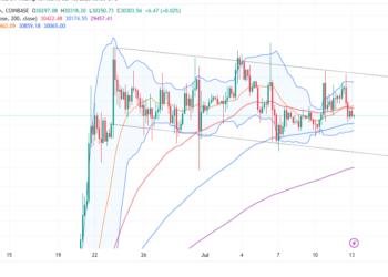 Bitcoin Price Pump Imminent Above $30k As Sharks and Whales Snatch Stablecoins in Droves