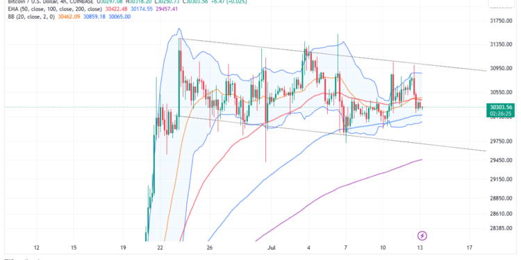 Bitcoin Price Pump Imminent Above $30k As Sharks and Whales Snatch Stablecoins in Droves