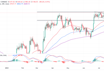 Bitcoin Price Pushes Past $31k as US Judge Rules XRP Not A Security – Rally to $38k Impending?