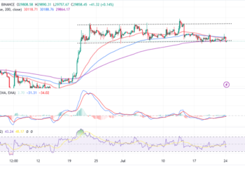 Bitcoin Price Signaling Possible Bearish Momentum Below $30k – $25k Coming Soon?