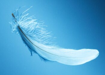 How Threads Could Kill Twitter