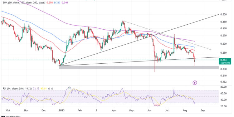 ADA Price In Shambles To $0.24 As Crypto Turns Bloody