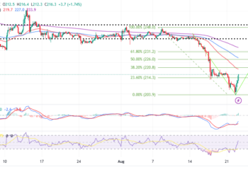 BNB Price Taps V-Shaped Pattern Amid Potential Climb To $230