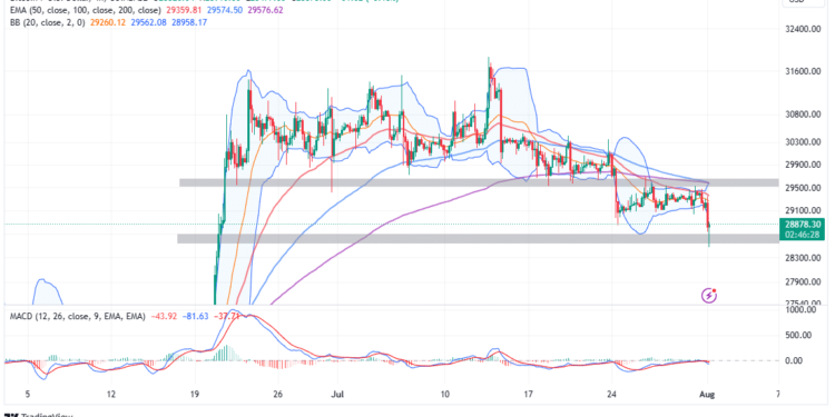Will BTC Keep Steady Amid Key Seasonality Pattern?