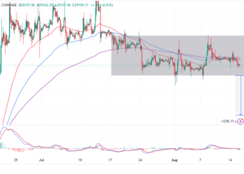 Bitcoin Exerting Pressure On $29k Support, Declines Linger 